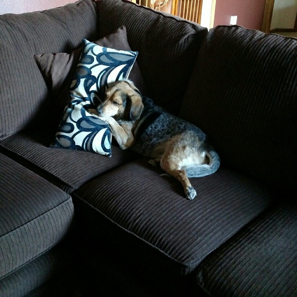 Meet your Posher, Elizabeth - Picture 1 of 1